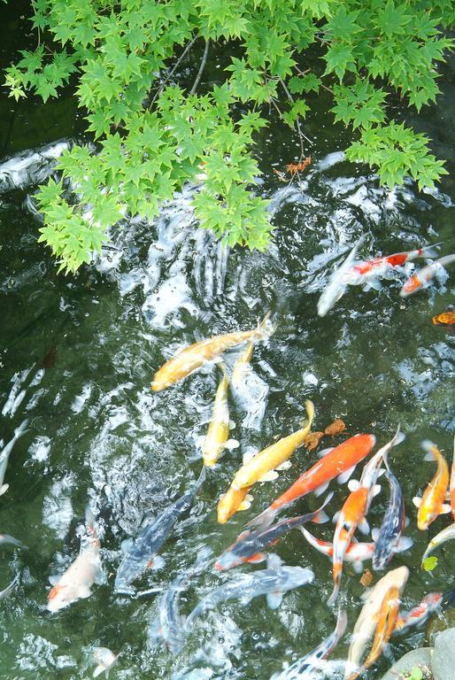 فندق Kaikake Onsen يوزاوا المظهر الخارجي الصورة
